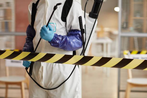 Professional Sewage Cleanup technician working in Indian Wells, CA